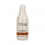 STAPIZ Sleek Line Shampoo mit Seide Repair 300 ml - 1
